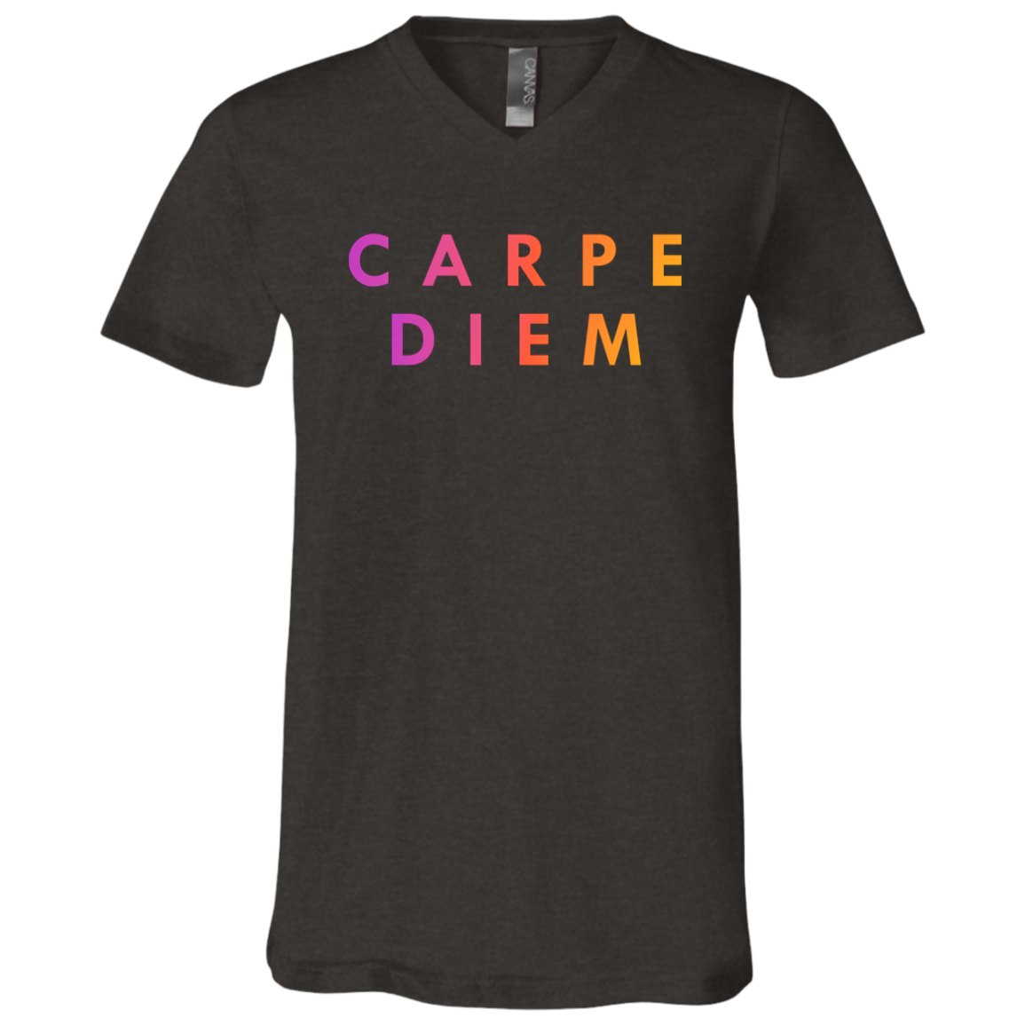 "Carpe diem." Mens V-neck T-shirt