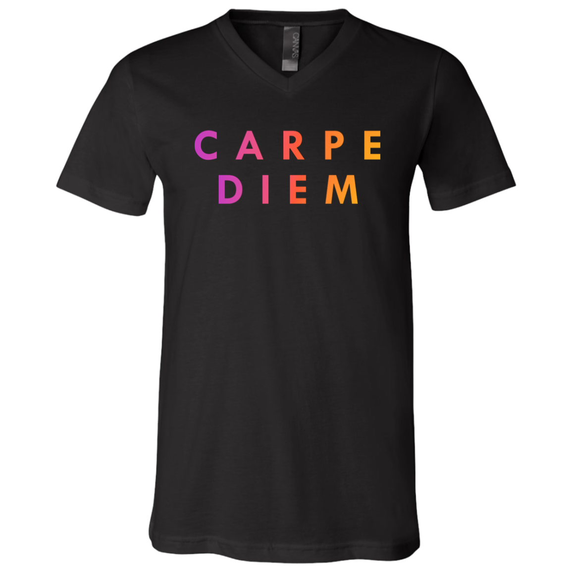 "Carpe diem." Mens V-neck T-shirt