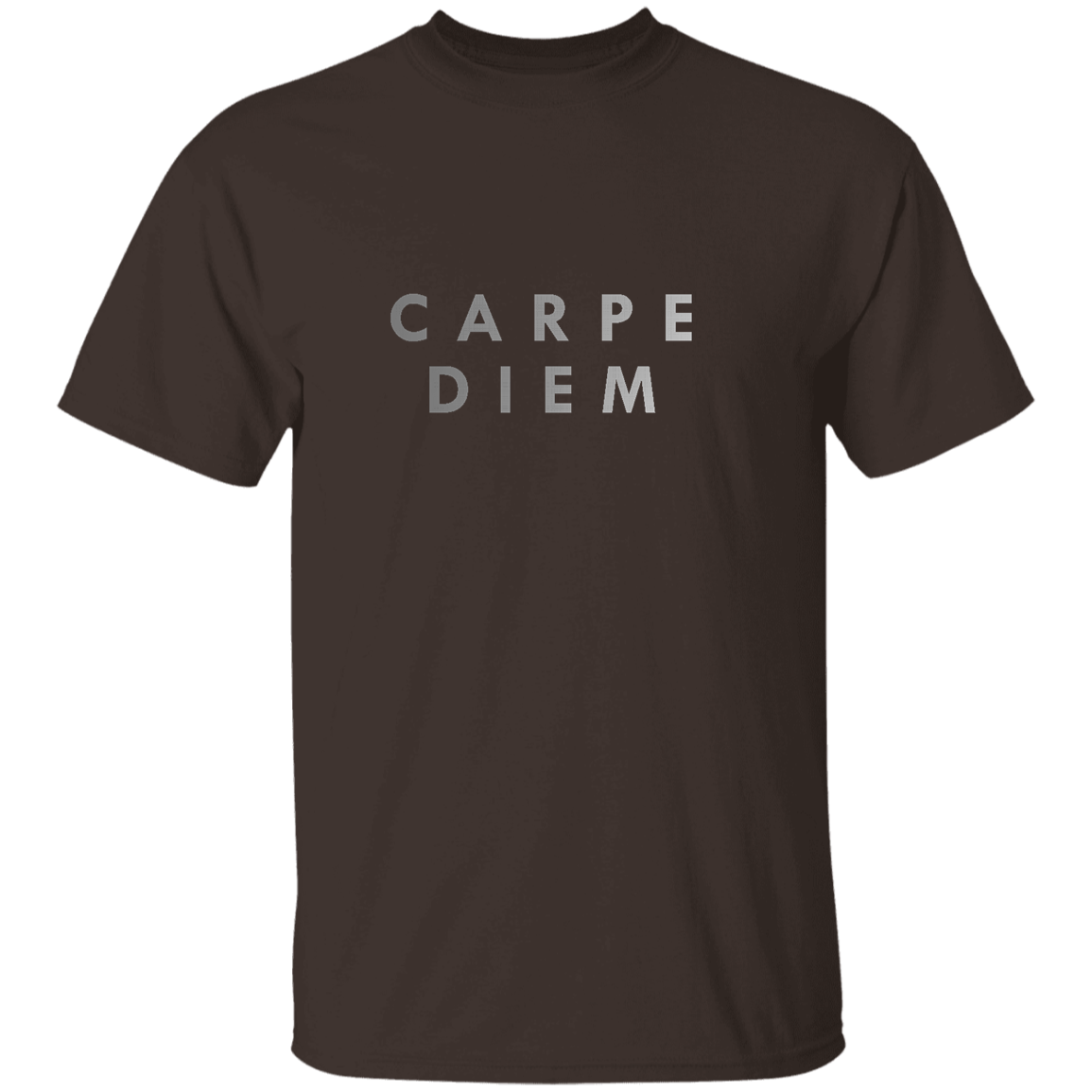 "Carpe diem." Mens T-shirt | BetterSaid.co